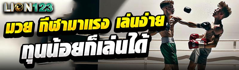 มวย กีฬามาเเรง เล่นง่าย ทุนน้อยก็เล่นได้