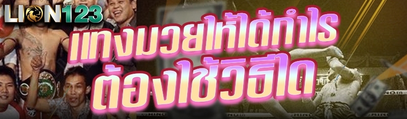 เเทงมวยให้ได้กำไร ต้องใช้วิธีใด