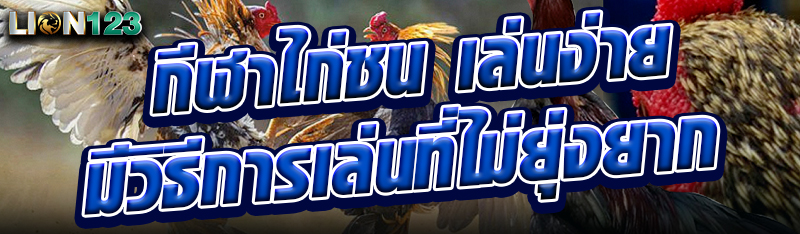 กีฬาไก่ชน เล่นง่าย มีวิธีการเล่นที่ไม่ยุ่งยาก