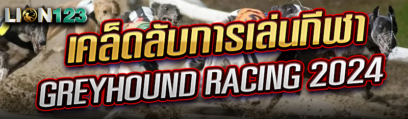 เคล็ดลับการเล่นกีฬา Greyhound Racing 2024