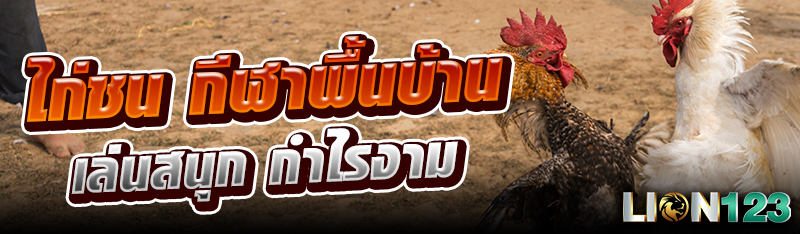 ไก่ชน กีฬาพื้นบ้าน เล่นสนุก กำไรงาม