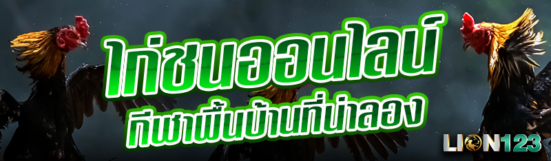 ไกชนออนไลน์ กีฬาพื้นบ้านที่น่าลอง